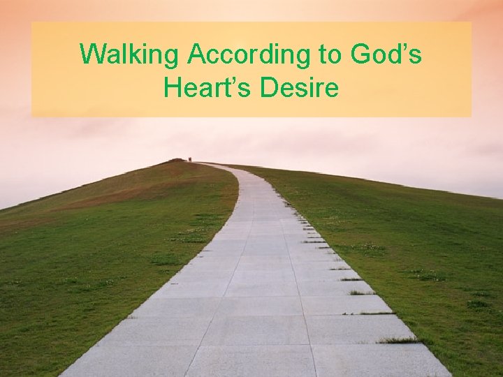 Walking According to God’s Heart’s Desire 