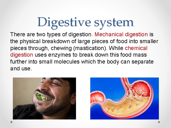 Digestive system There are two types of digestion. Mechanical digestion is the physical breakdown
