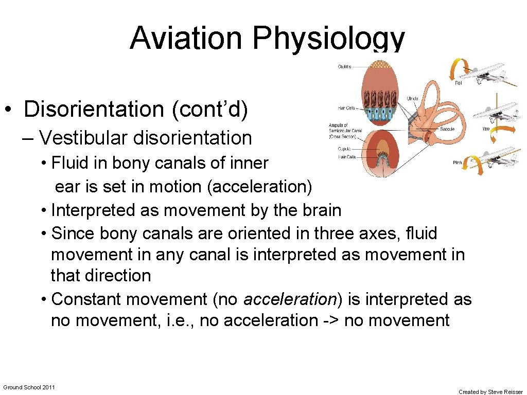 Aviation Physiology • Disorientation (cont’d) – Vestibular disorientation • Fluid in bony canals of