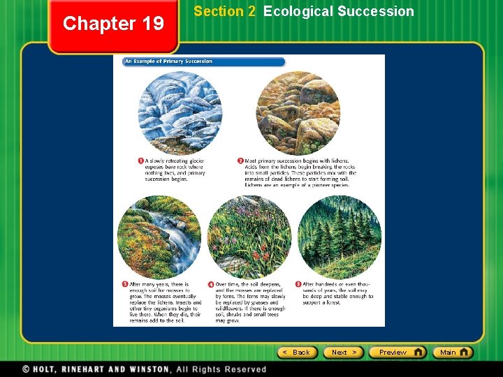 Chapter 19 Section 2 Ecological Succession < Back Next > Preview Main 