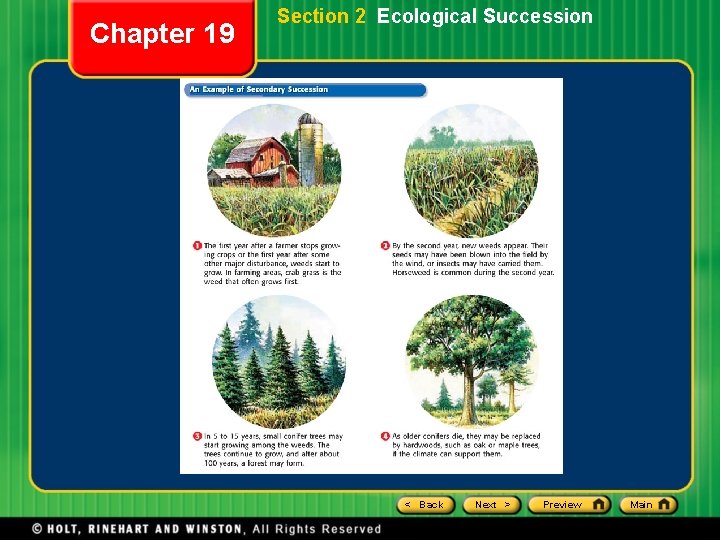 Chapter 19 Section 2 Ecological Succession < Back Next > Preview Main 