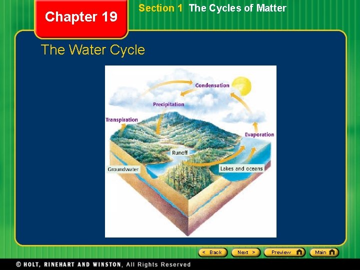 Chapter 19 Section 1 The Cycles of Matter The Water Cycle < Back Next