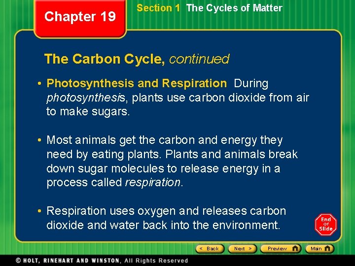Chapter 19 Section 1 The Cycles of Matter The Carbon Cycle, continued • Photosynthesis