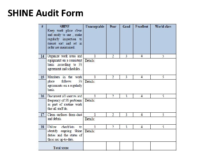 SHINE Audit Form SHINE Audit Form