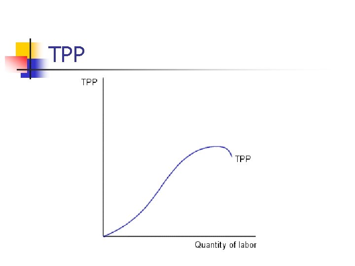 TPP 