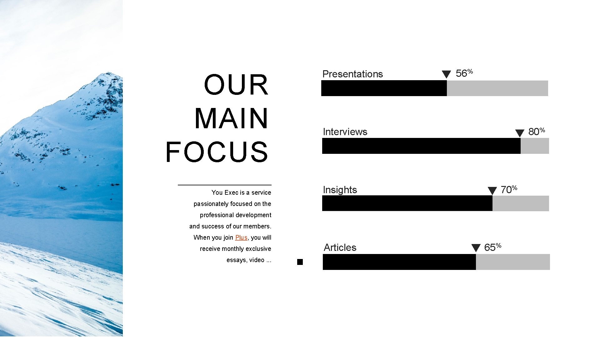 OUR MAIN FOCUS You Exec is a service Presentations 56% 80% Interviews Insights 70%