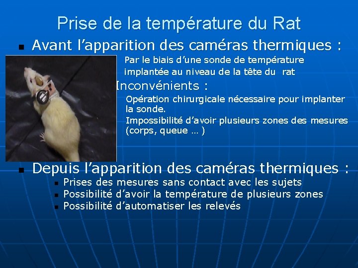 Prise de la température du Rat n Avant l’apparition des caméras thermiques : Par