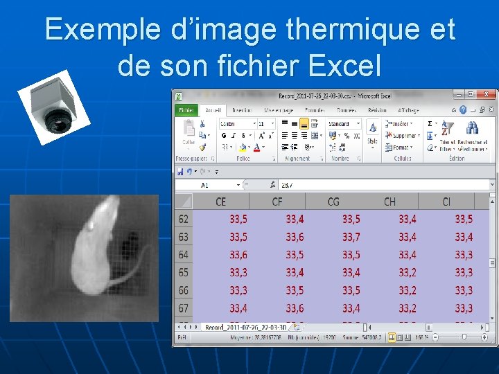 Exemple d’image thermique et de son fichier Excel 