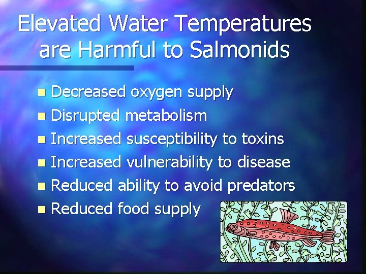 Elevated Water Temperatures are Harmful to Salmonids Decreased oxygen supply n Disrupted metabolism n