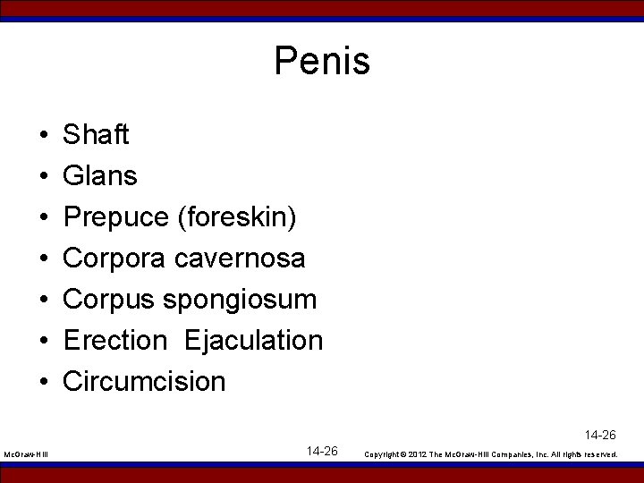 Penis • • Shaft Glans Prepuce (foreskin) Corpora cavernosa Corpus spongiosum Erection Ejaculation Circumcision
