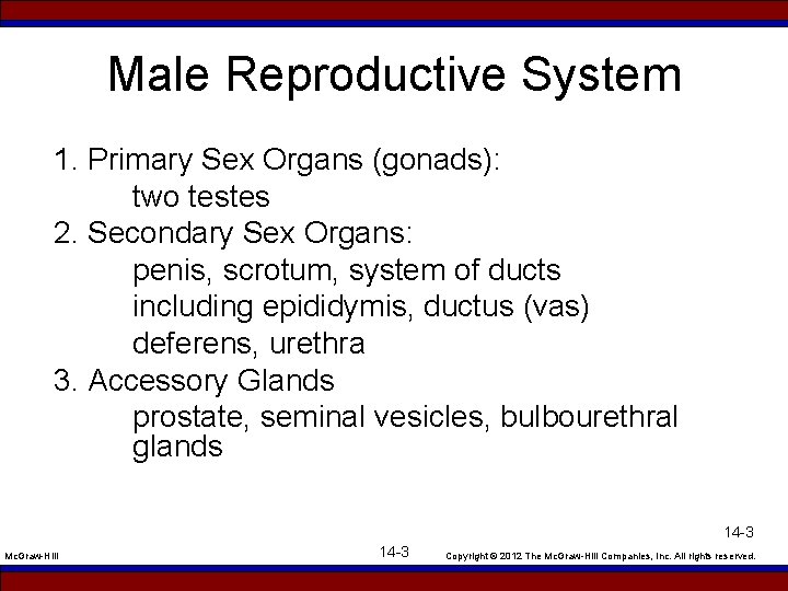 Male Reproductive System 1. Primary Sex Organs (gonads): two testes 2. Secondary Sex Organs:
