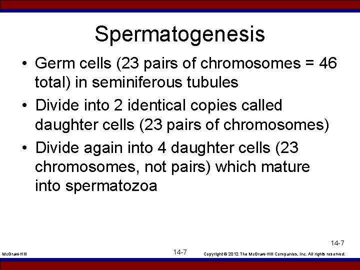 Spermatogenesis • Germ cells (23 pairs of chromosomes = 46 total) in seminiferous tubules