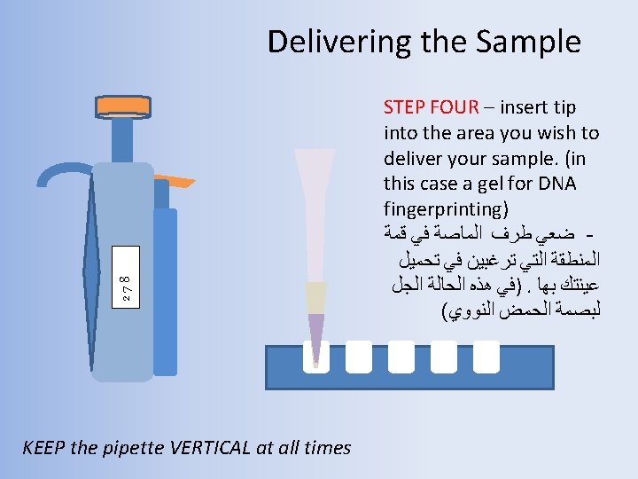 278 Delivering the Sample KEEP the pipette VERTICAL at all times STEP FOUR –