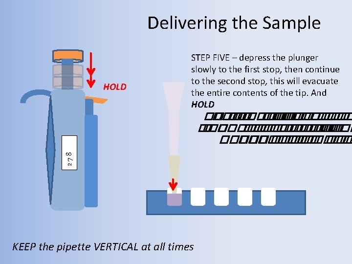 Delivering the Sample HOLD STEP FIVE – depress the plunger slowly to the first