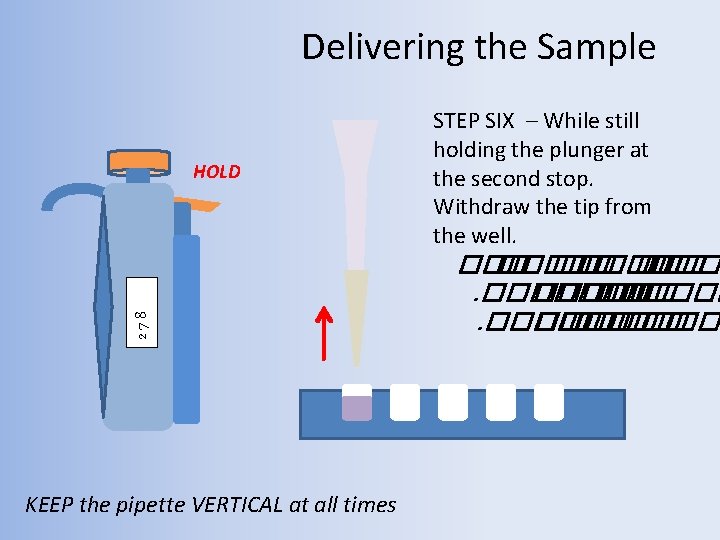 Delivering the Sample 278 HOLD KEEP the pipette VERTICAL at all times STEP SIX