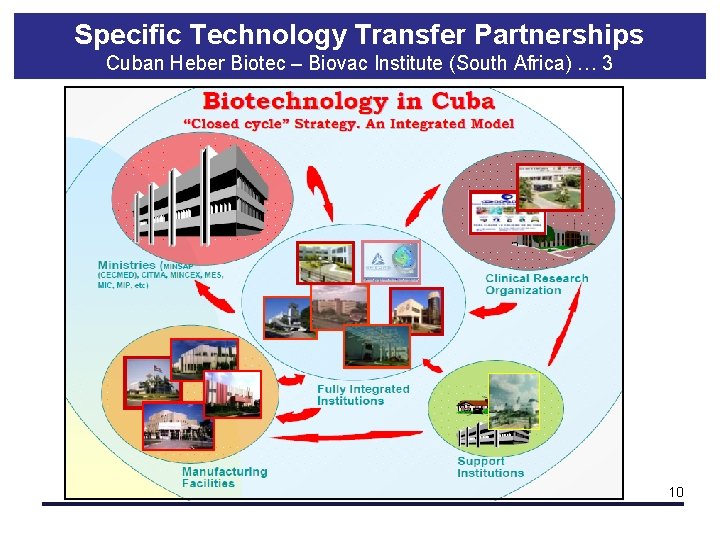 Specific Technology Transfer Partnerships Cuban Heber Biotec – Biovac Institute (South Africa) … 3