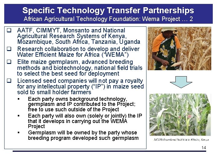 Specific Technology Transfer Partnerships African Agricultural Technology Foundation: Wema Project … 2 q AATF,