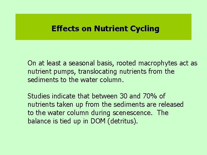 Effects on Nutrient Cycling On at least a seasonal basis, rooted macrophytes act as