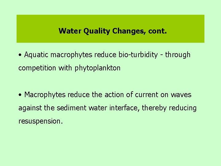 Water Quality Changes, cont. • Aquatic macrophytes reduce bio-turbidity - through competition with phytoplankton