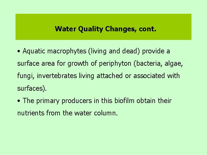 Water Quality Changes, cont. • Aquatic macrophytes (living and dead) provide a surface area