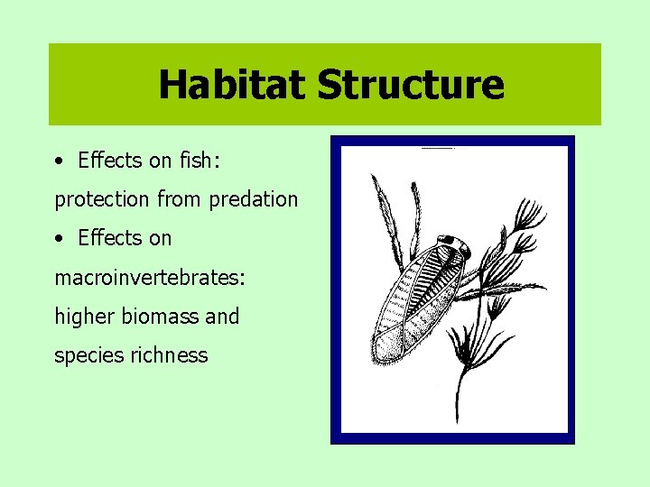 Habitat Structure • Effects on fish: protection from predation • Effects on macroinvertebrates: higher