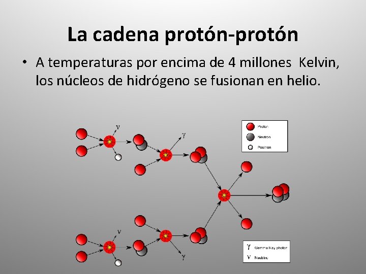 La cadena protón-protón • A temperaturas por encima de 4 millones Kelvin, los núcleos La cadena protón-protón • A temperaturas por encima de 4 millones Kelvin, los núcleos