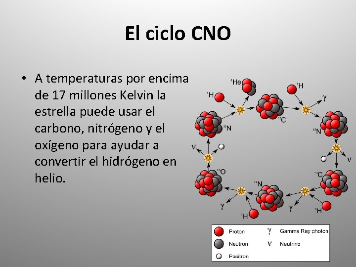 El ciclo CNO • A temperaturas por encima de 17 millones Kelvin la estrella