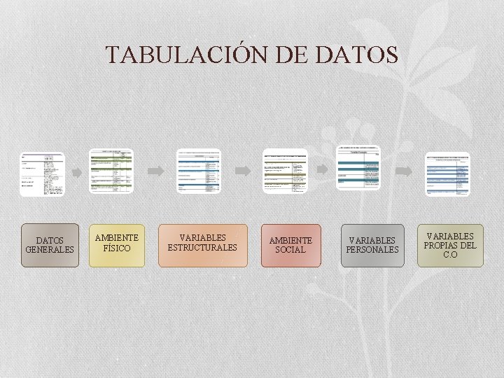 TABULACIÓN DE DATOS GENERALES AMBIENTE FÍSICO VARIABLES ESTRUCTURALES AMBIENTE SOCIAL VARIABLES PERSONALES VARIABLES PROPIAS