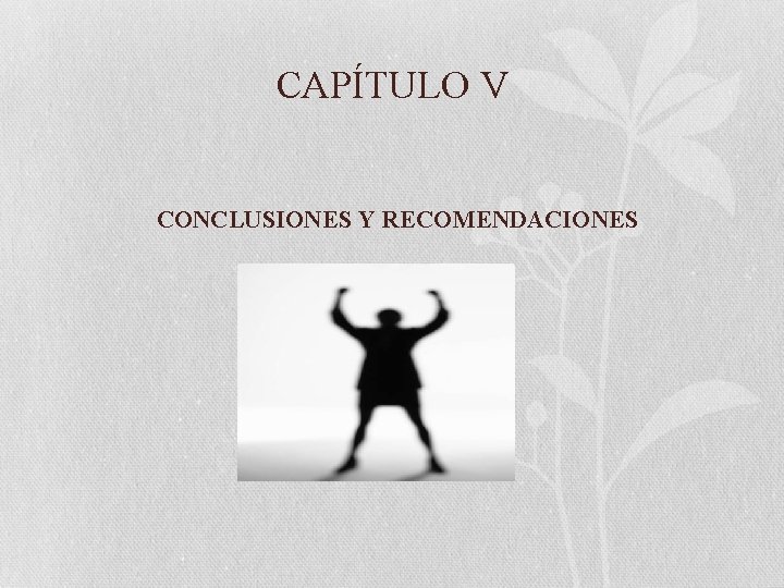 CAPÍTULO V CONCLUSIONES Y RECOMENDACIONES 