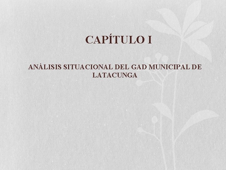 CAPÍTULO I ANÁLISIS SITUACIONAL DEL GAD MUNICIPAL DE LATACUNGA 