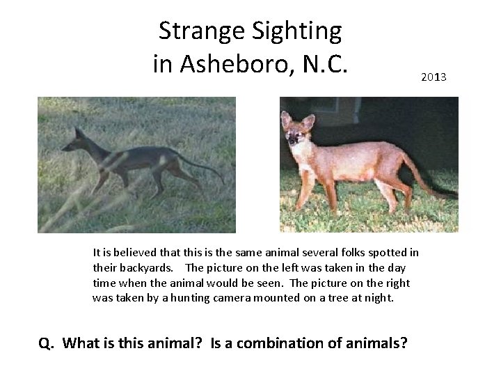 Strange Sighting in Asheboro, N. C. It is believed that this is the same
