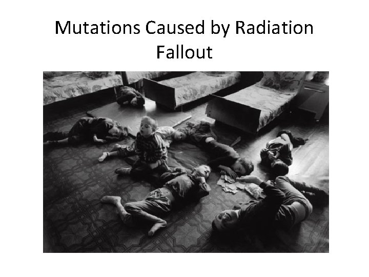 Mutations Caused by Radiation Fallout 