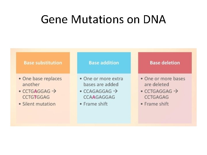 Gene Mutations on DNA 