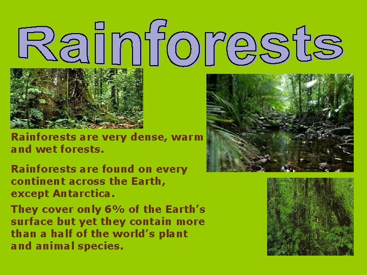 Rainforests are very dense, warm and wet forests. Rainforests are found on every continent