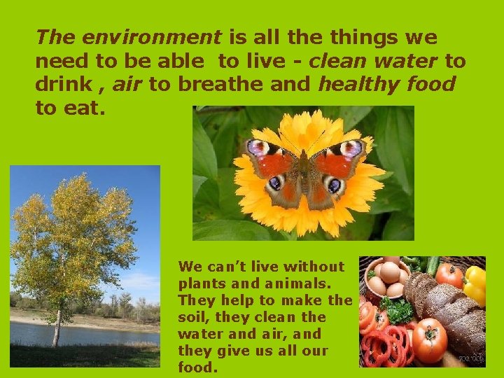 The environment is all the things we need to be able to live -