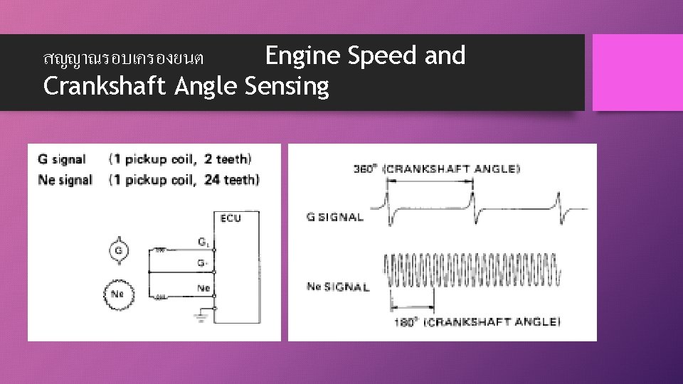 สญญาณรอบเครองยนต Engine Speed and Crankshaft Angle Sensing 