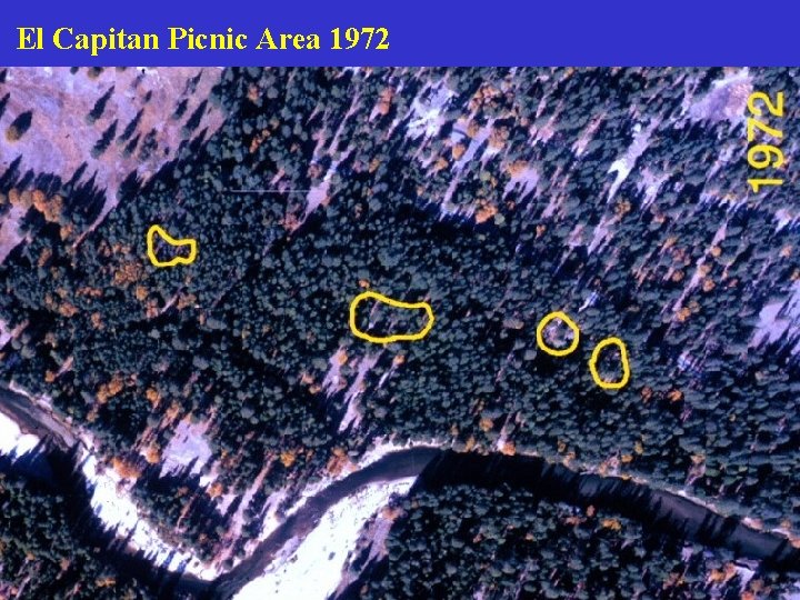 El Capitan Picnic Area 1972 