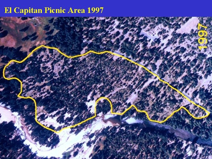 El Capitan Picnic Area 1997 