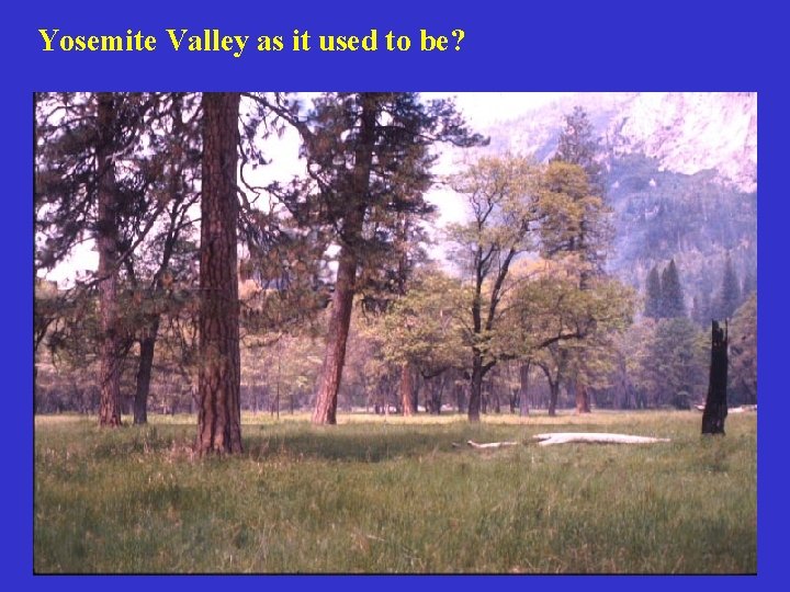 Yosemite Valley as it used to be? 