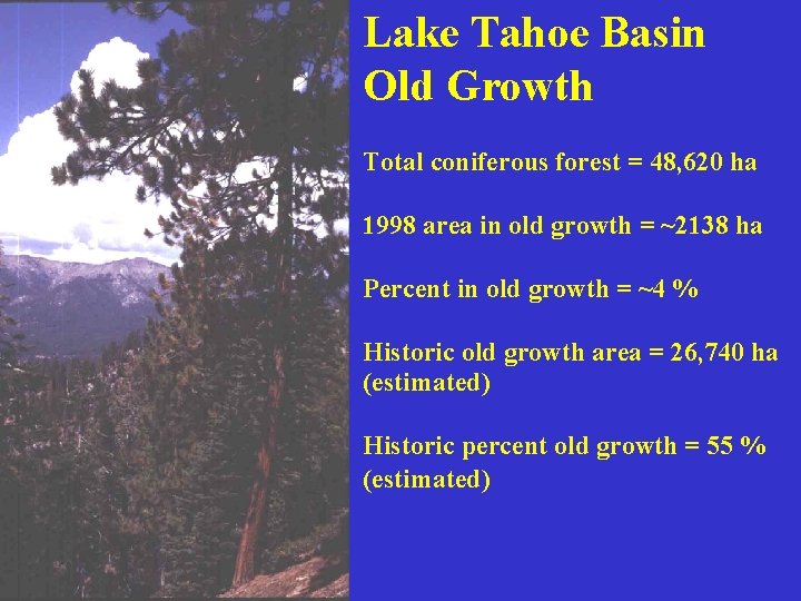 Lake Tahoe Basin Old Growth Total coniferous forest = 48, 620 ha 1998 area