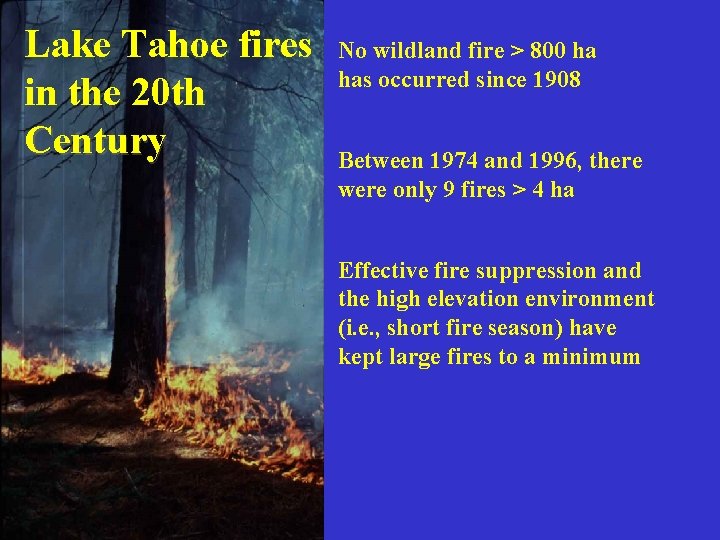 Lake Tahoe fires in the 20 th Century No wildland fire > 800 ha