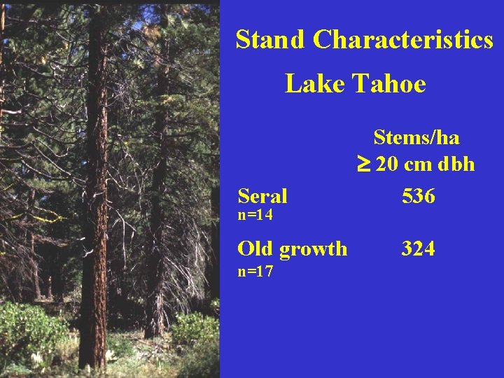 Stand Characteristics Lake Tahoe Seral n=14 Old growth n=17 Stems/ha 20 cm dbh 536