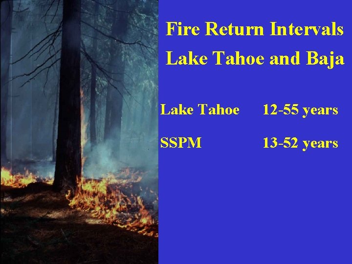Fire Return Intervals Lake Tahoe and Baja Lake Tahoe 12 -55 years SSPM 13