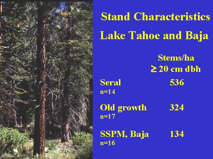 Stand Characteristics Lake Tahoe and Baja Seral Stems/ha 20 cm dbh 536 n=14 Old