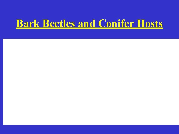 Bark Beetles and Conifer Hosts 