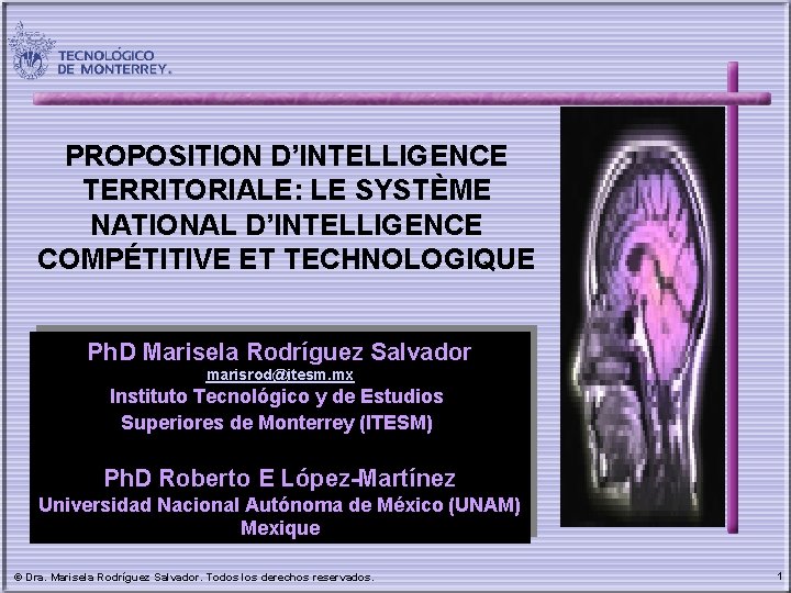 PROPOSITION D’INTELLIGENCE TERRITORIALE: LE SYSTÈME NATIONAL D’INTELLIGENCE COMPÉTITIVE ET TECHNOLOGIQUE Ph. D Marisela Rodríguez