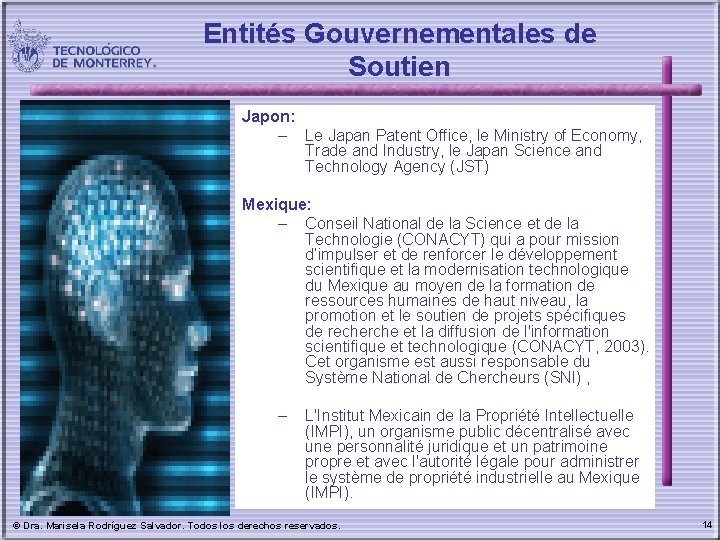 Entités Gouvernementales de Soutien Japon: – Le Japan Patent Office, le Ministry of Economy,