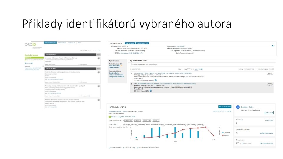 Příklady identifikátorů vybraného autora 