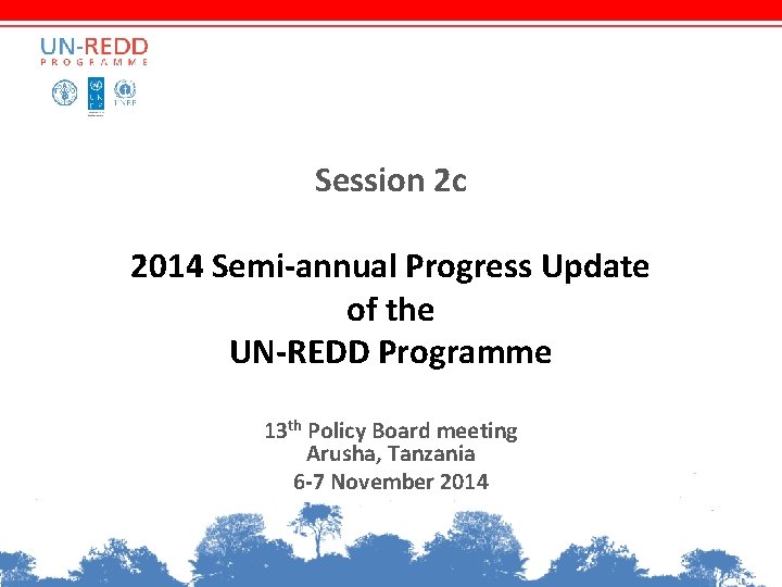 Session 2 c 2014 Semi-annual Progress Update of the UN-REDD Programme 13 th Policy