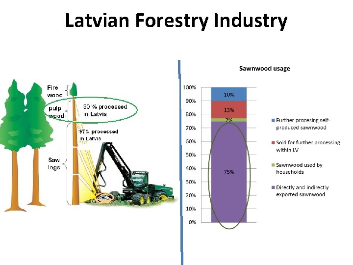 Latvian Forestry Industry 